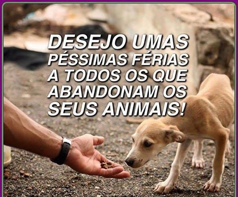 ferias.jpg ferias.jpg