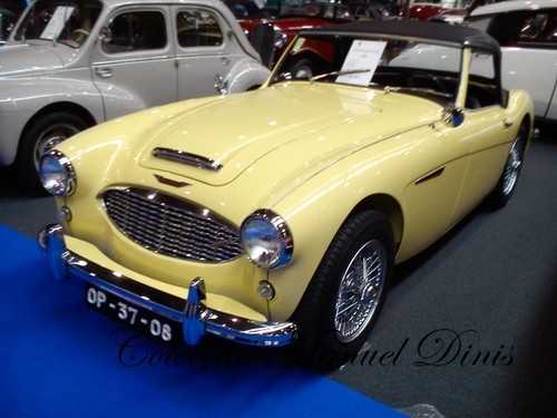 2015 Autocl&aacute;ssico Porto (567).jpg