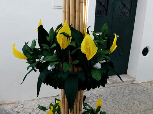 Festas 9.jpg Festas 9.jpg