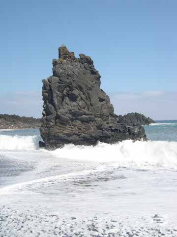 MADEIRA147.jpg MADEIRA147.jpg