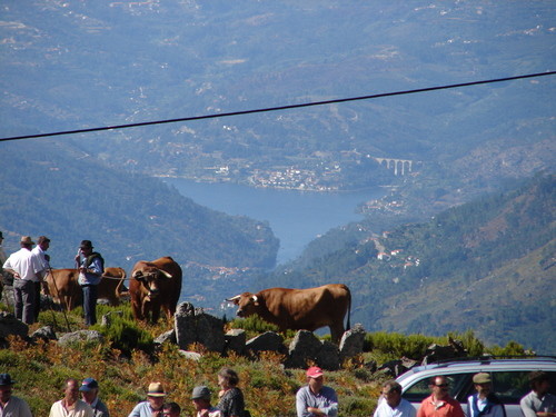 Serra Montemuro