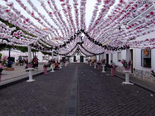 Festas 5.jpg Festas 5.jpg