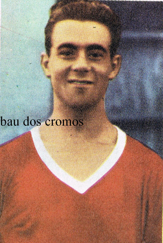 vitor silva.jpg vitor silva.jpg