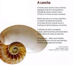 concha.jpeg concha.jpeg