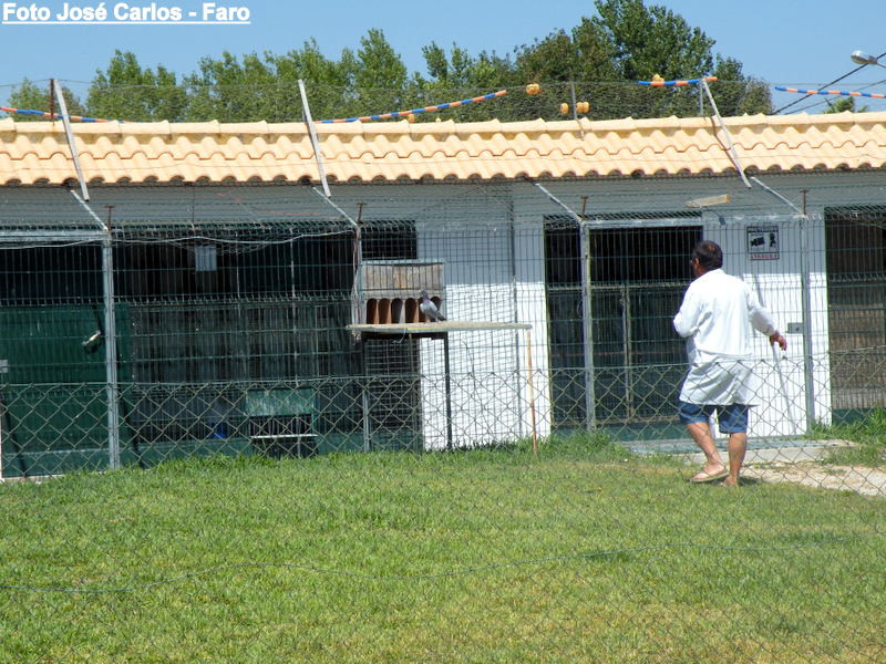 Derbu Luzense 2016 002.JPG Derbu Luzense 2016 002.JPG