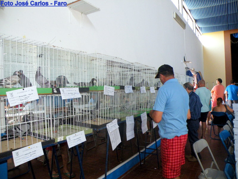 Leilão Altura 2016 004.JPG Leilão Altura 2016 004.JPG