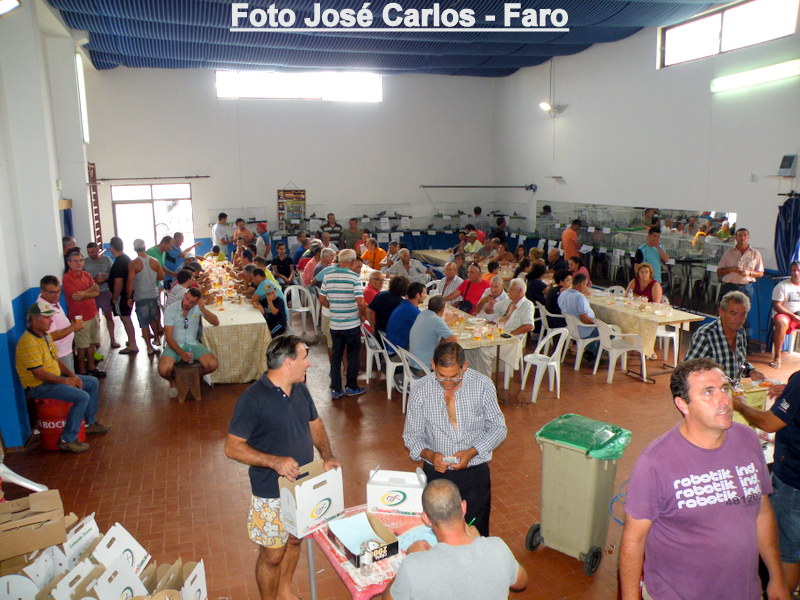 Leilão Luz Tavira 2015 077.JPG Leilão Luz Tavira 2015 077.JPG