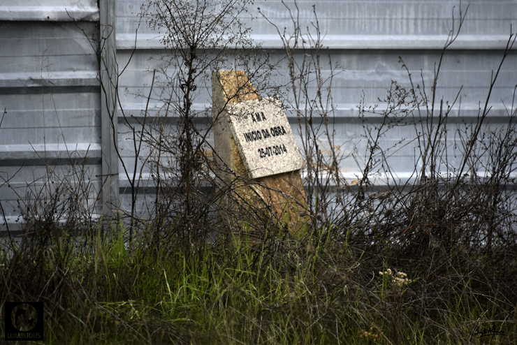 _D750163.JPG _D750163.JPG