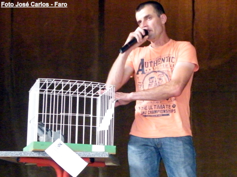 Leilão Luz Tavira 2015 022.JPG Leilão Luz Tavira 2015 022.JPG