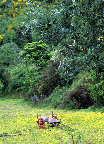 Blogue_paisagem12_Midões.jpg Blogue_paisagem12_Midões.jpg